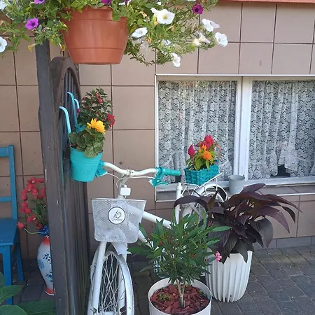 Wynajem Pokoi Jaroslaw Wladyslawowo