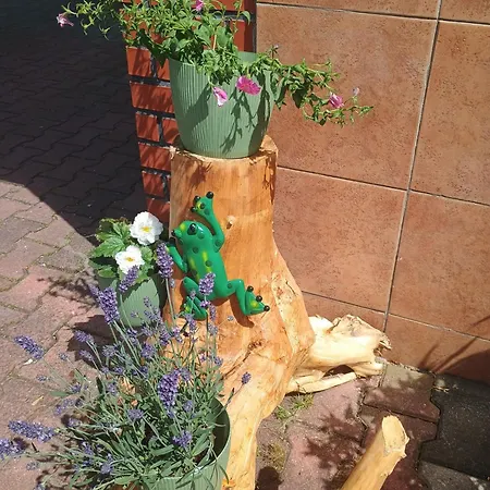 Wynajem Pokoi Jaroslaw * Wladyslawowo